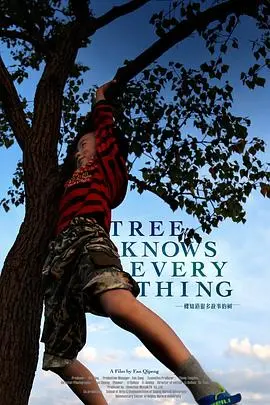 《一棵知道很多故事的树》:跨越时空的温情与记忆